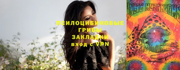 спиды Алексин
