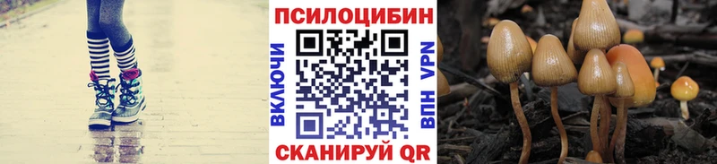купить   Минусинск  Псилоцибиновые грибы ЛСД 